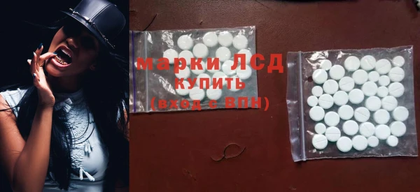 PSILOCYBIN Каменка