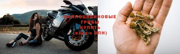 СК Карпинск