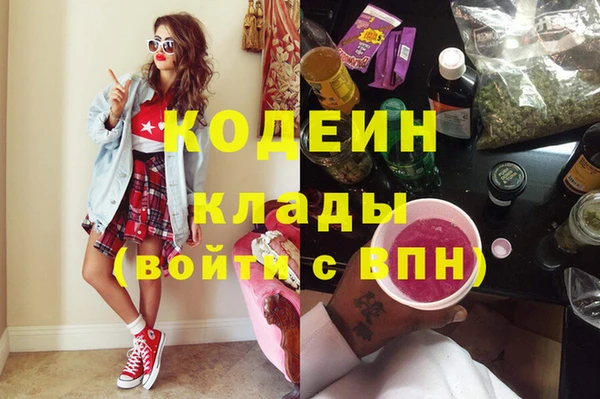 индика Бабаево