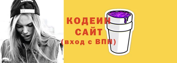 соль ск Инсар
