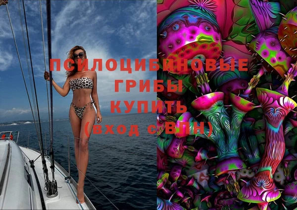 PSILOCYBIN Каменка