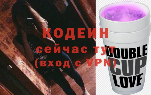 PSILOCYBIN Каменка