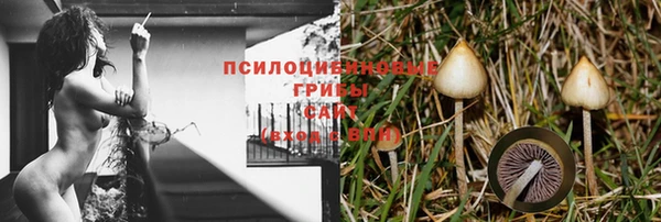 PSILOCYBIN Каменка